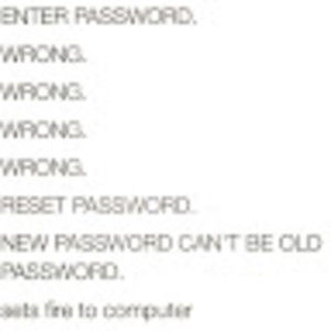 Meet your Posher, Misty